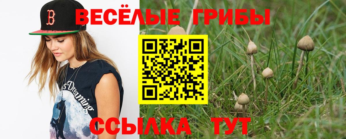 Псилоцибиновые грибы мицелий Лениногорск