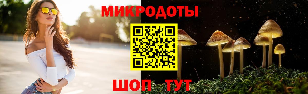Галлюциногенные грибы прущие грибы  Вход с VPN  Галлюциногенные грибы Psilocybe  Лениногорск 
